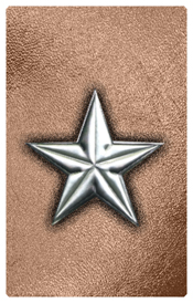 DNSHERT C 430 SL BZ Star Silver Bronze